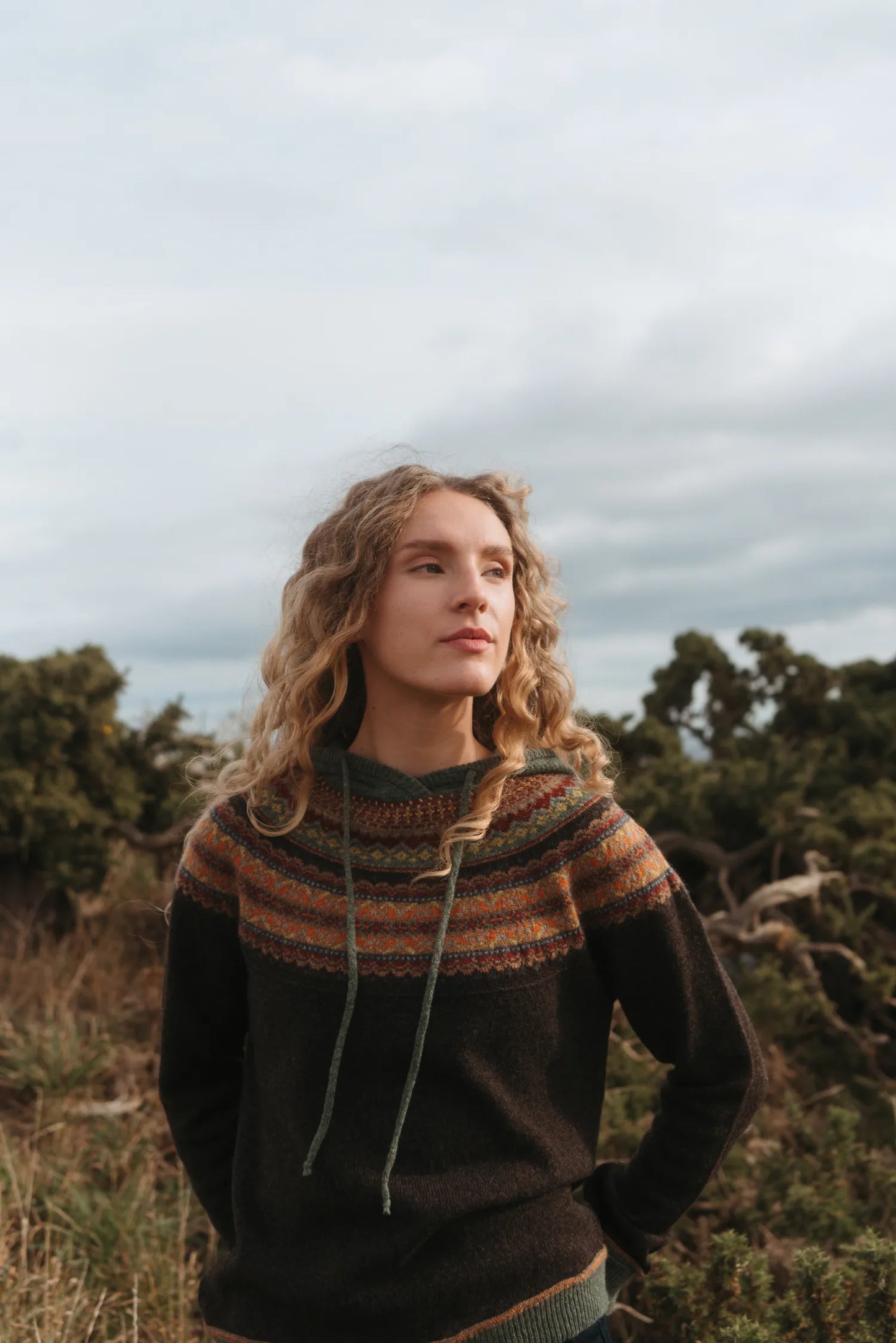 Alpine Hoody Sweater