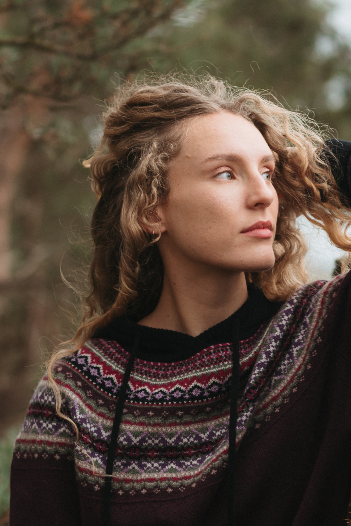 Alpine Hoody Sweater